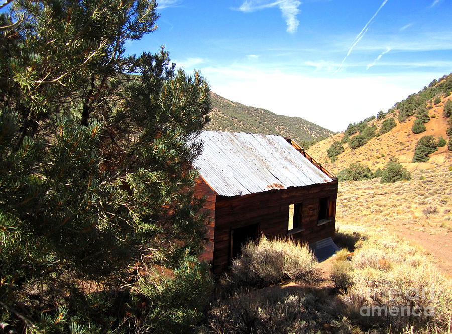 Cabin In The Hills Photograph by Marilyn Diaz