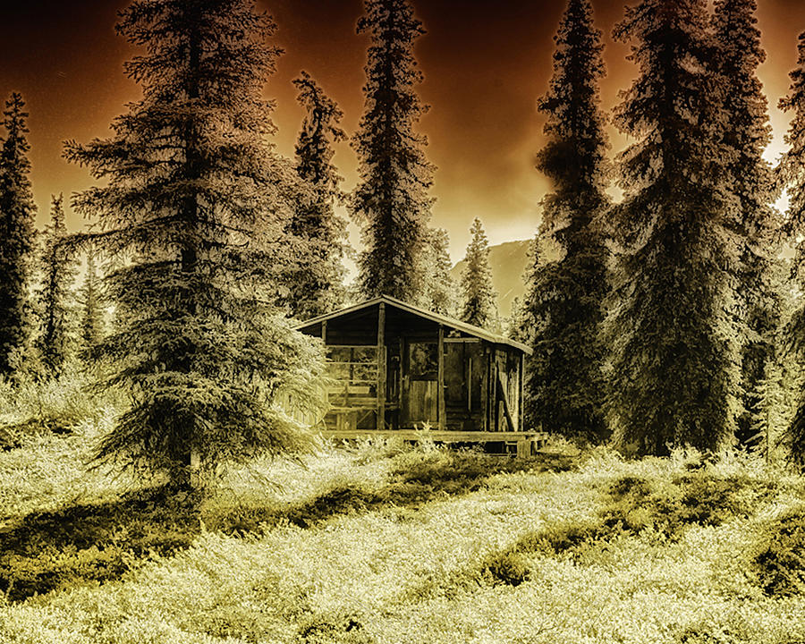Cabin in the Woods #1 Photograph by Gary OBoyle