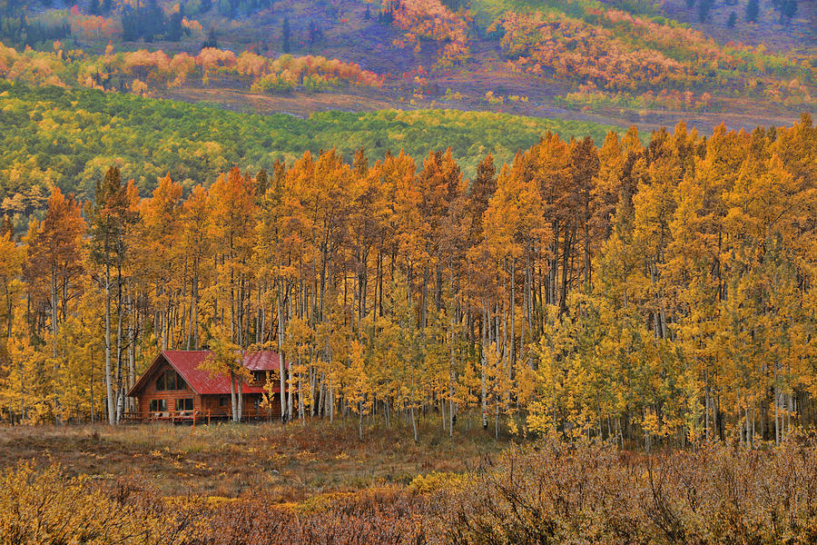 Cabin in the Woods Photograph by Allen Beatty