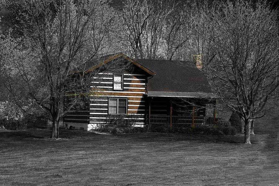 Cabin in the Woods Photograph by David Yocum