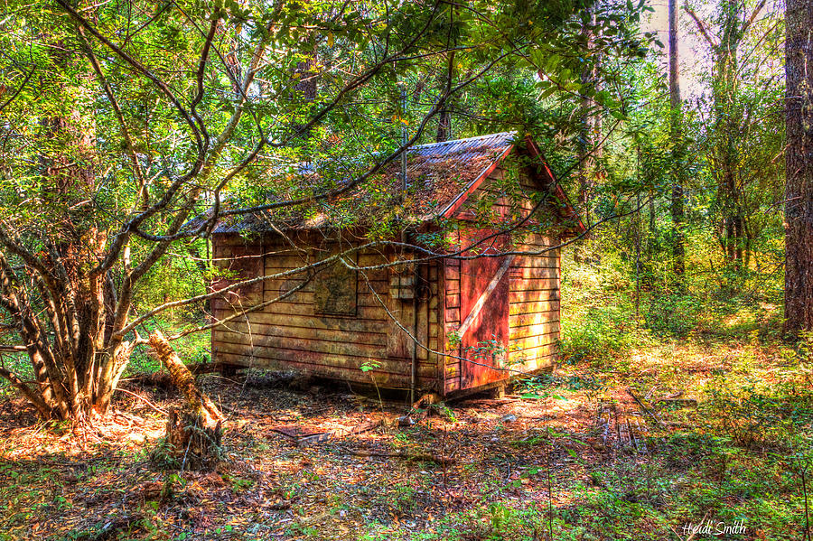 Vintage Photograph - Cabin In The Woods by Heidi Smith