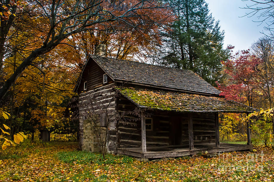 Cabin in the Woods Photograph by Jim McCain