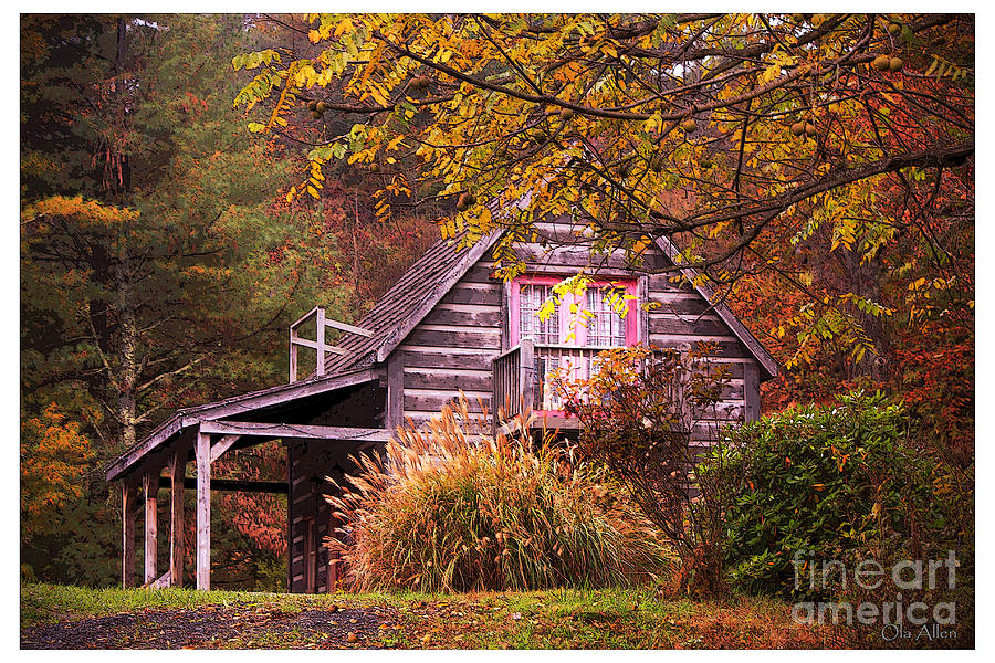 Cabin in the Woods Photograph by Ola Allen