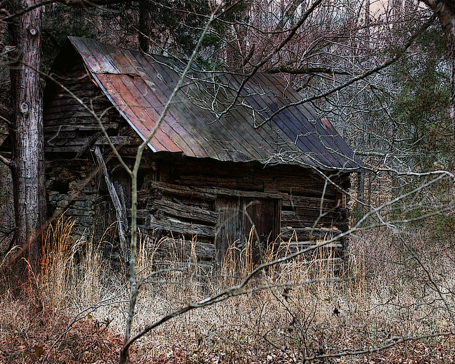 Cabin in the Woods Photograph by TnBackroadsPhotos 