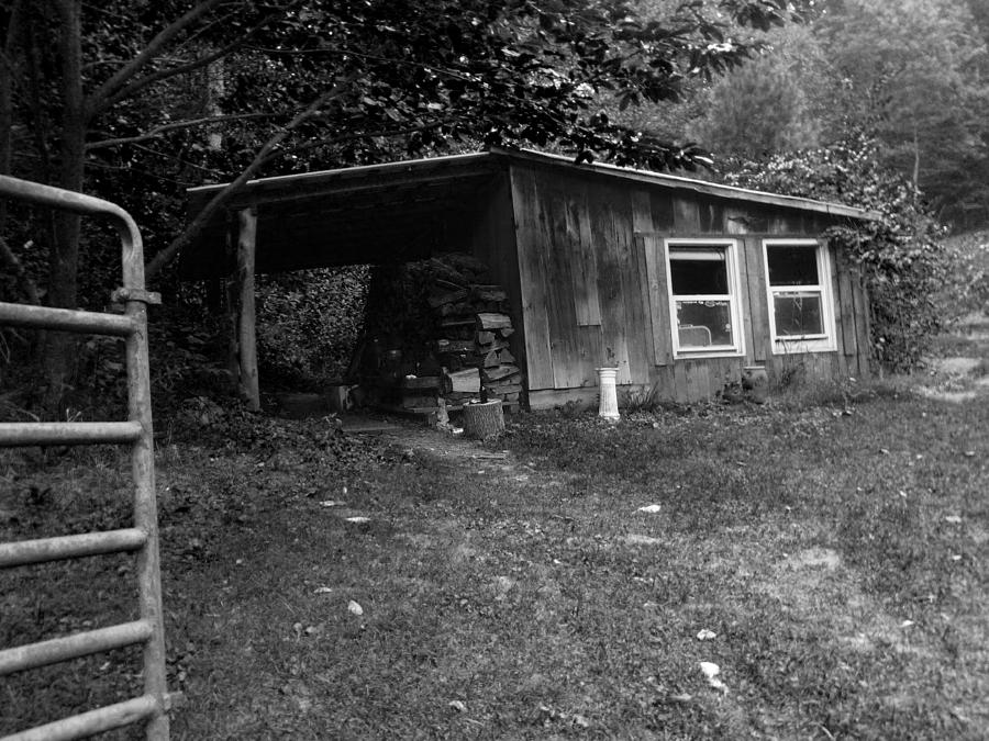 Cabin Life Photograph by Amy Fyffe Fine Art America