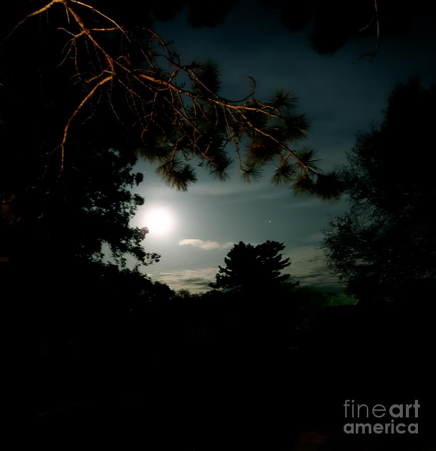 Cabin Moon Photograph by Jacqueline Athmann