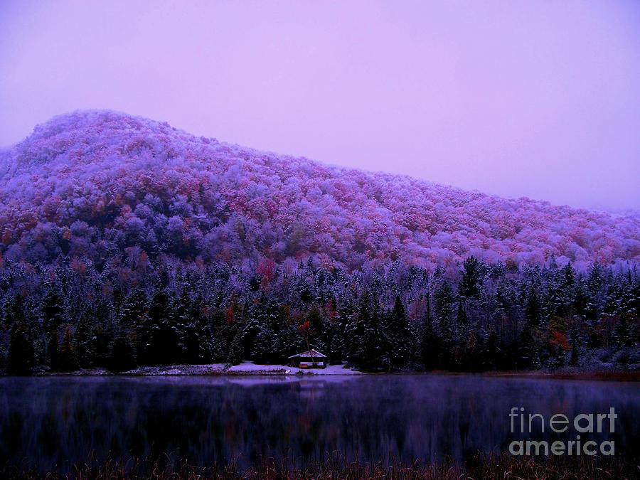 Fall Photograph - Cabin on Clarks Pond by Steven Valkenberg