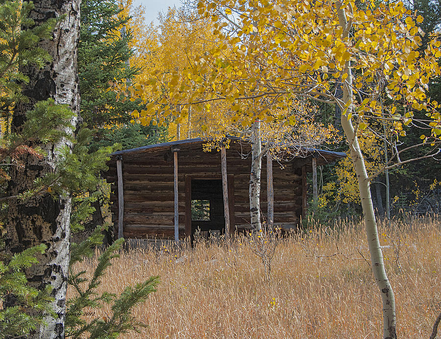 Cabin on Elkhorn Creek Photograph by Sam Sherman