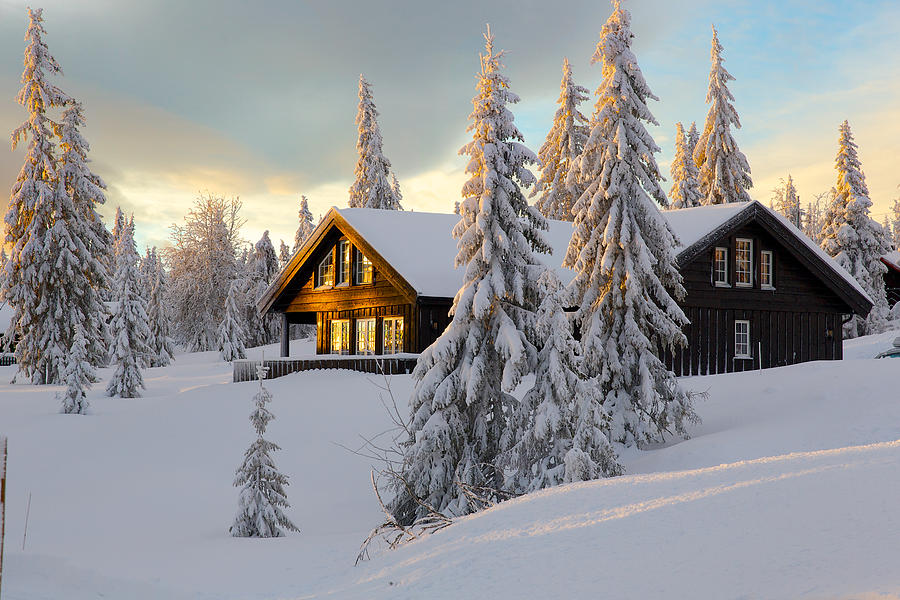 Cabin on snowy hill, Norway Photograph by Leemanator