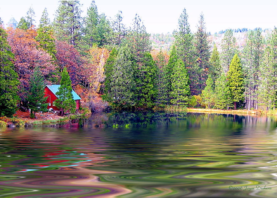 Cabin On The Lake Photograph by Joyce Dickens