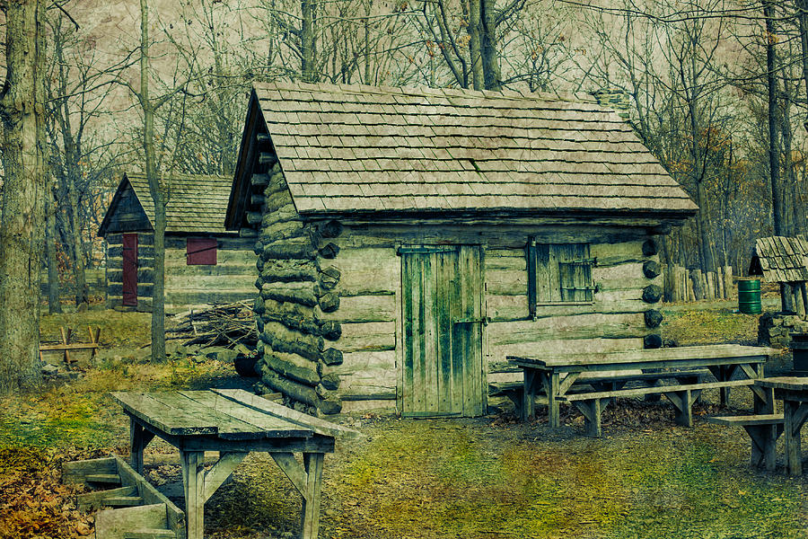Cabins in the Woods Photograph by Elvira Pinkhas