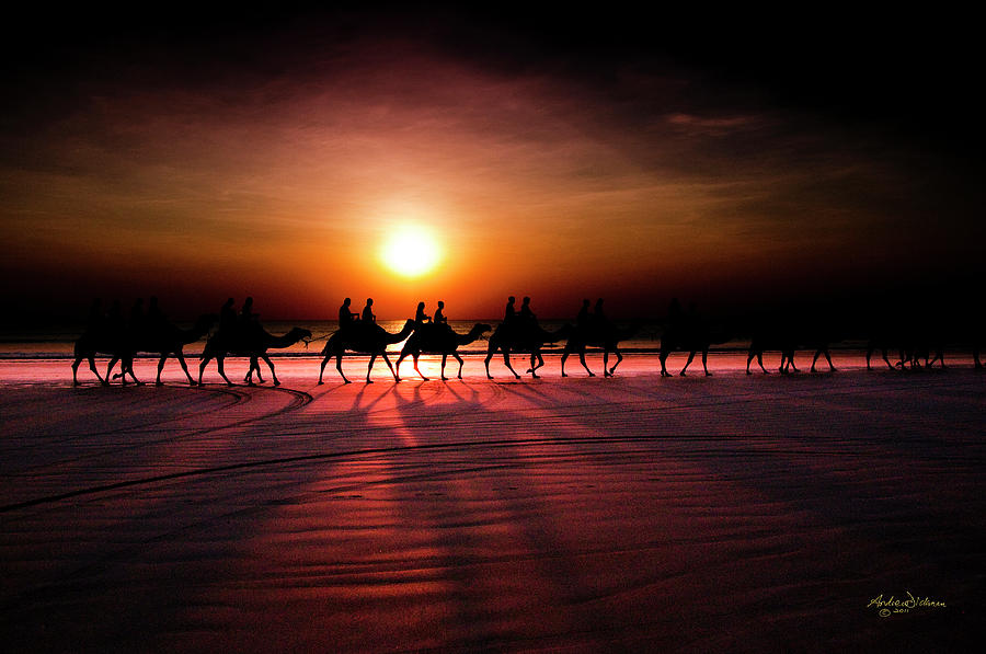 Cable Beach Camel Ride Photograph by Andrew Dickman