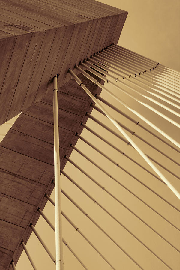 Cable Bridge Geometric Abstract in Sepia Photograph by Kathy Clark
