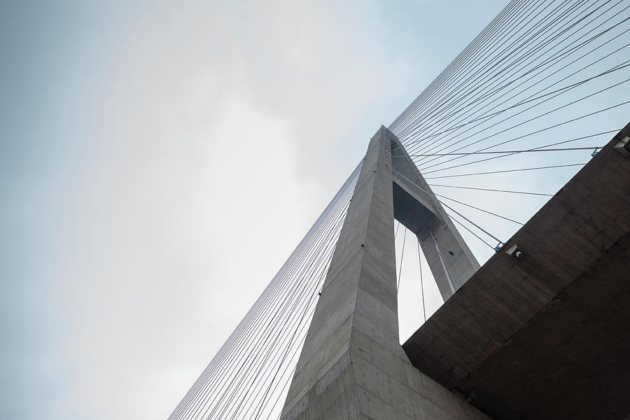 Cable Stayed Bridge Photograph by Pan Hong