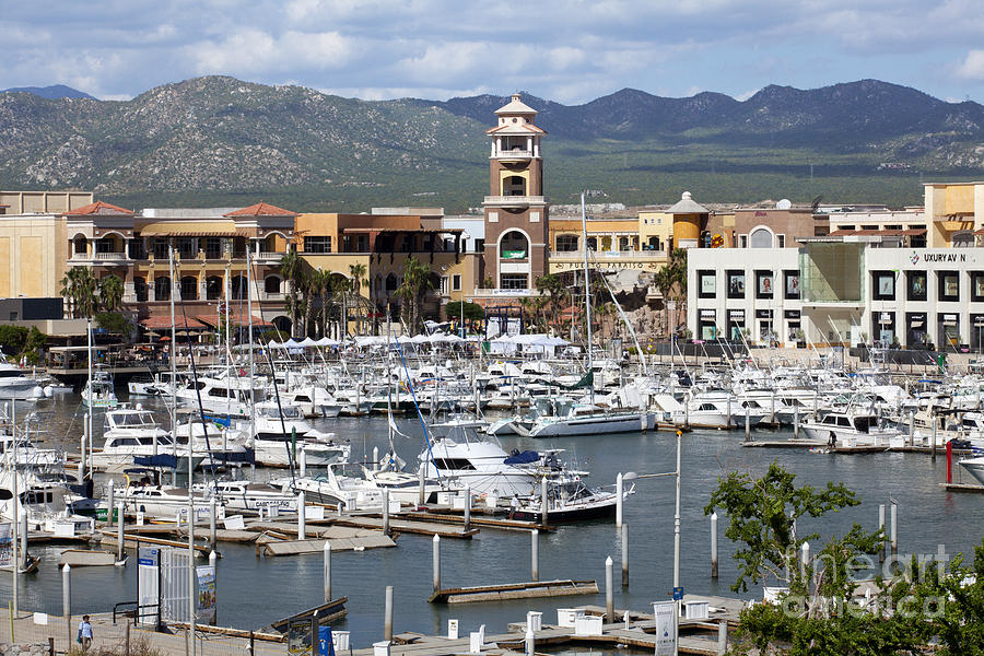 Cabo San Lucas - Marina Photograph by Anthony Totah