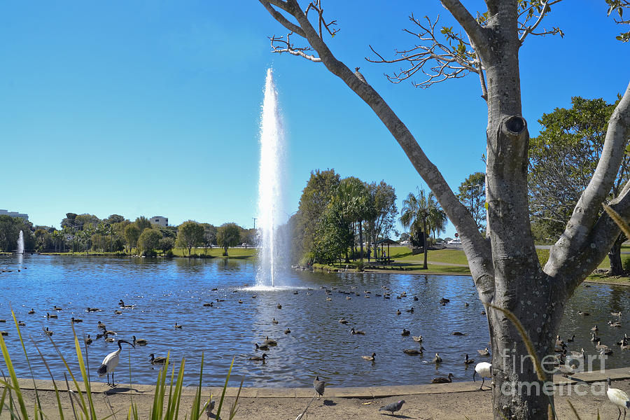 Caboolture Park Lake Photograph by Christopher Edmunds - Fine Art America