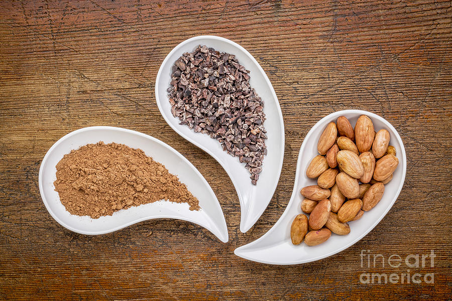 Cacao Beans Nibs And Powder Photograph by Marek Uliasz
