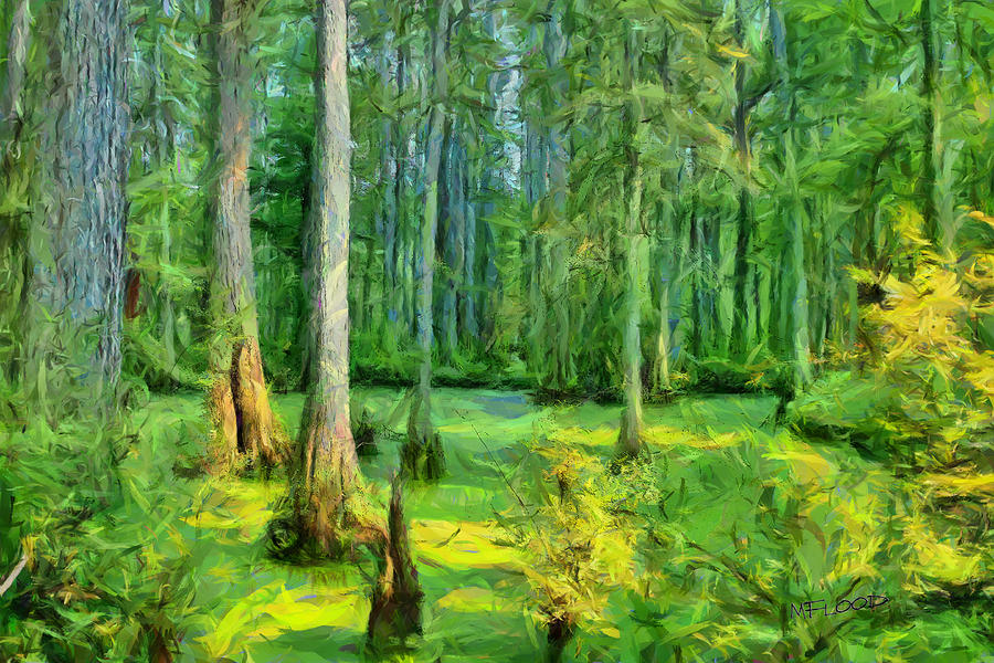 Cache River Swamp by Michael Flood Cache River Swamp by Michael Flood