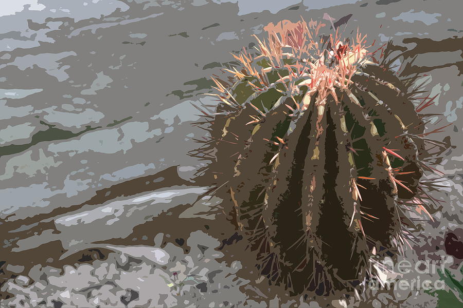 Cacti Abstract Photograph by Christiane Schulze Art And Photography