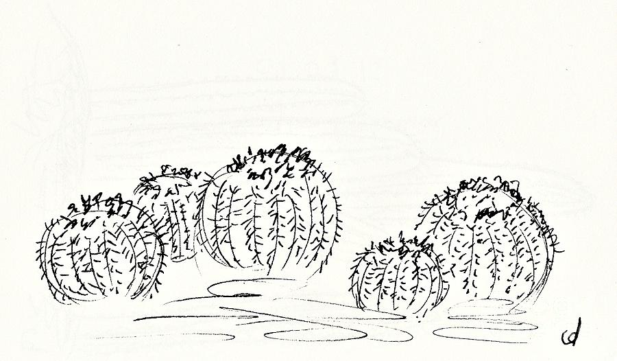 Cacti in the Parque de la Paloma in Benalmadena Drawing by Chani Demuijlder