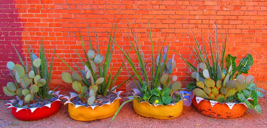 Cacti Quartet Digital Art by Alec Drake