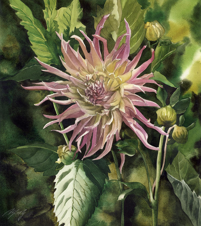 Cactus Dahlia Painting by Alfred Ng