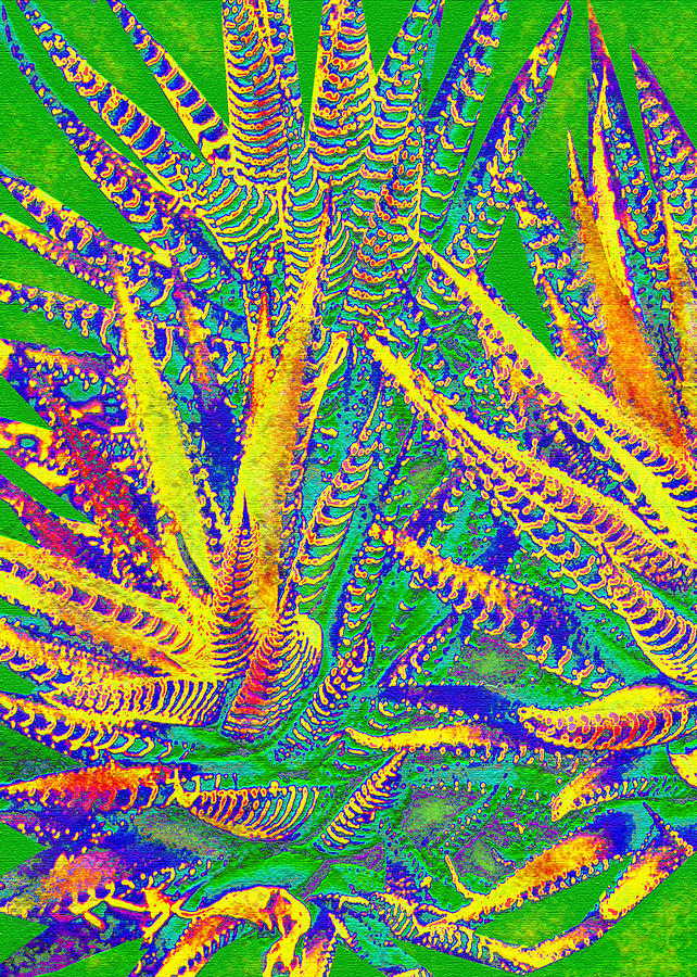 Cactus Fiesta Digital Art by Jane Schnetlage