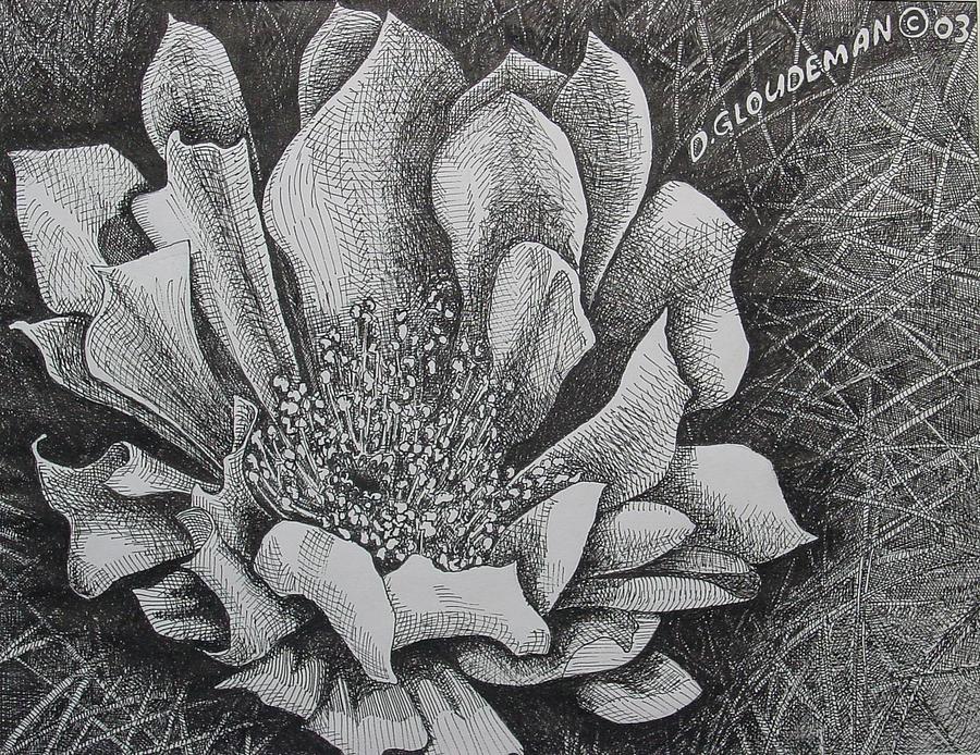 Cactus Flower Drawing by Denis Gloudeman