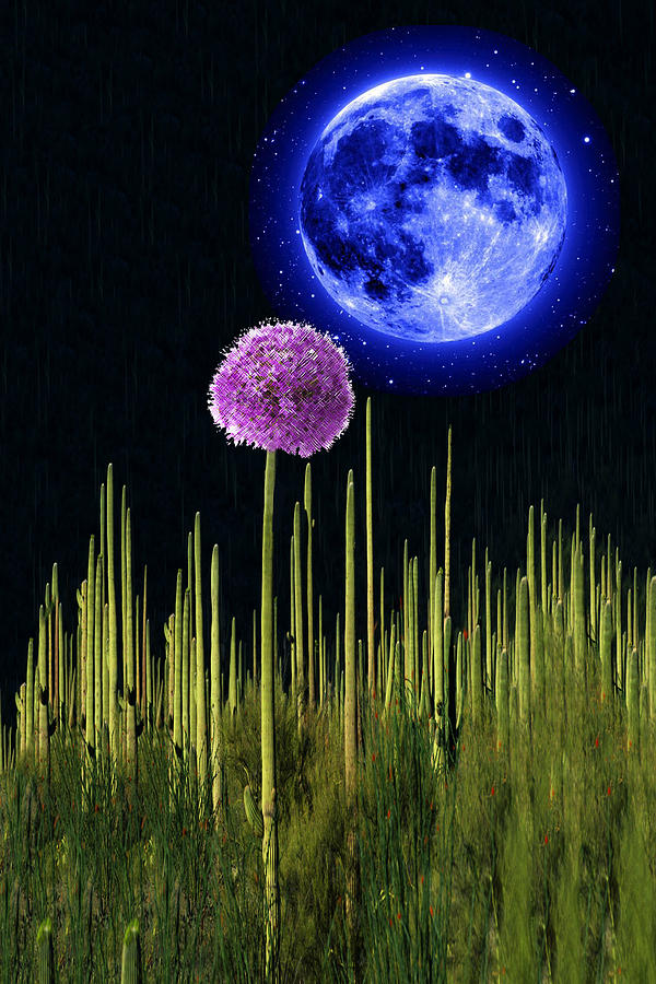 Cactus Flower Moon Photograph by Bruce IORIO