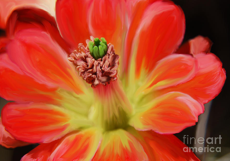 Cactus Flower by Victoria Page Cactus Flower by Victoria Page