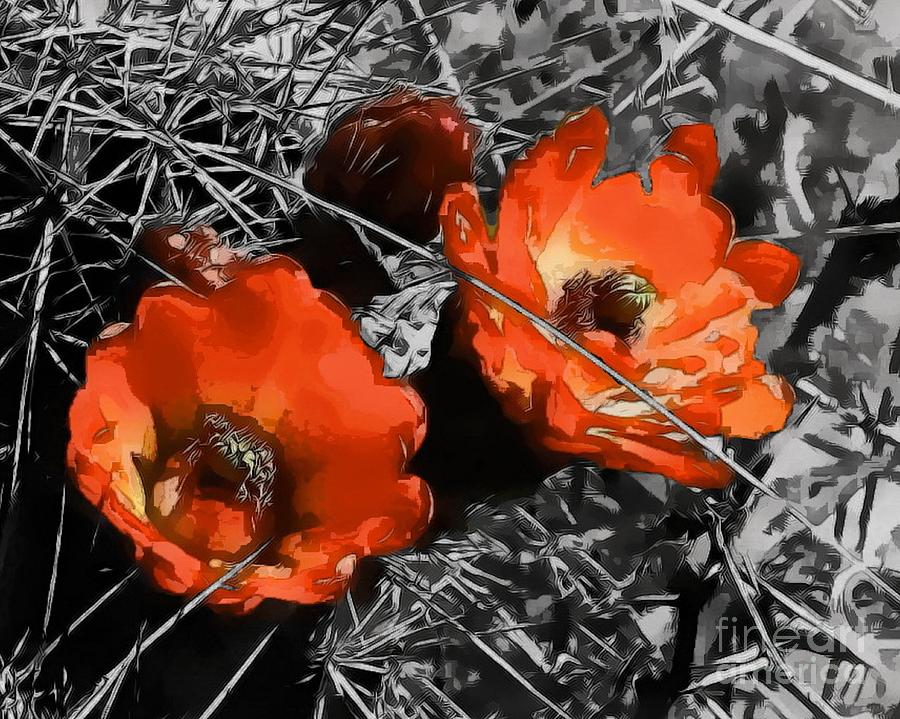 Cactus Flowers Digital Art by Tim Richards