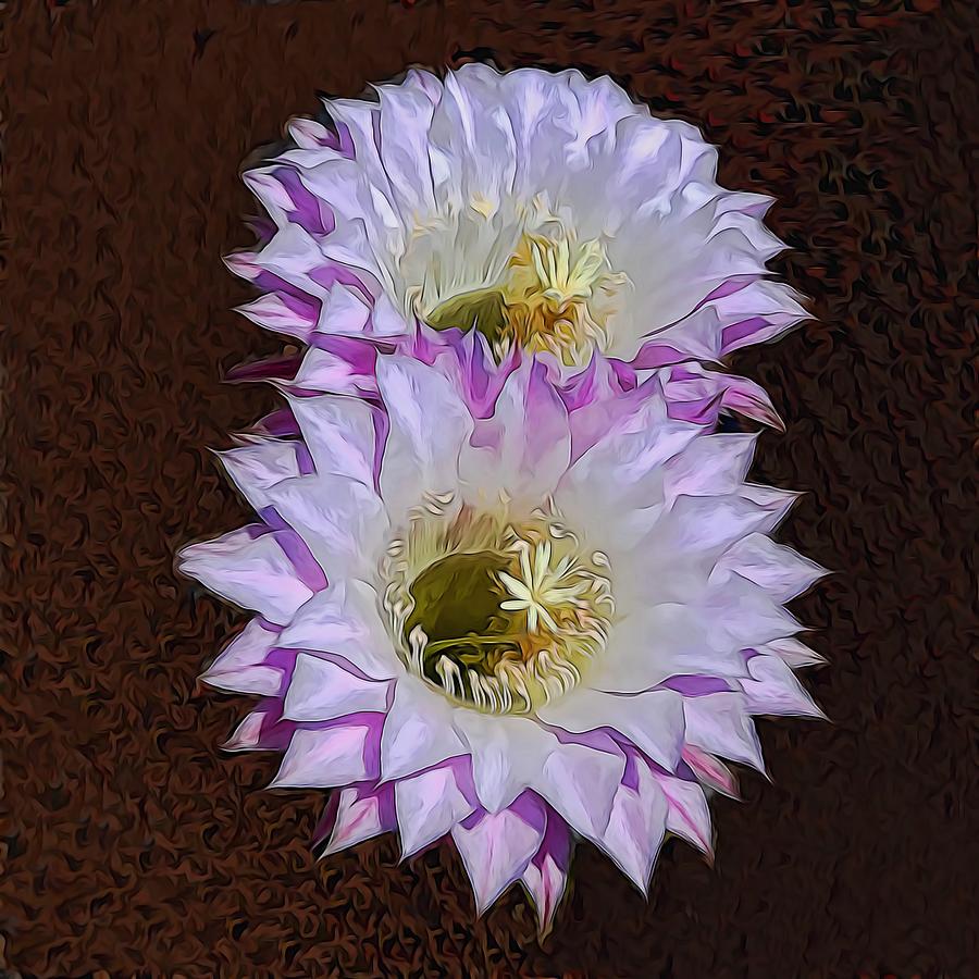 Cactus Flowers Mixed Media by Pamela Walton