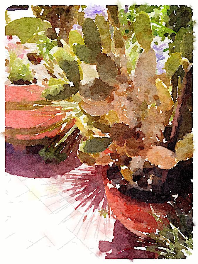 Cactus Garden Digital Art by Shannon Grissom