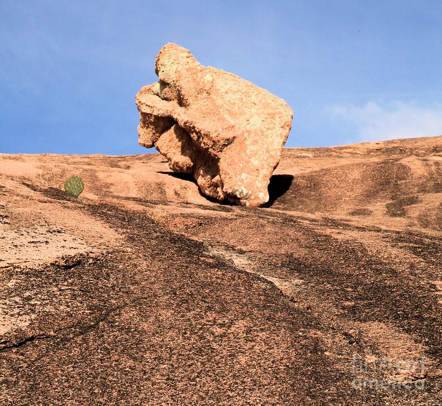 Enchanted Rock Photograph - Cactus Leap Frog by Adam Jewell