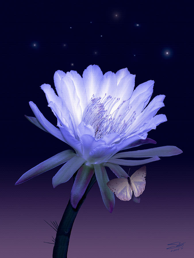 Cactus Night Flower Painting by M Spadecaller