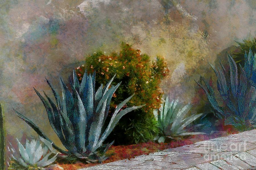 Cactus On The Wall Photograph