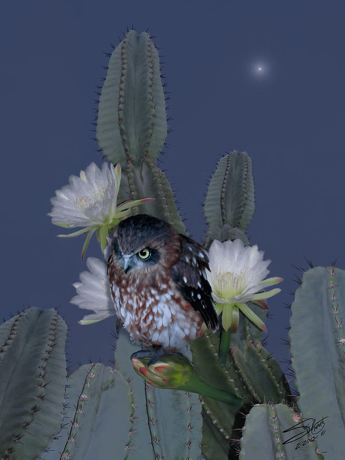 Cactus Owl Digital Art by M Spadecaller