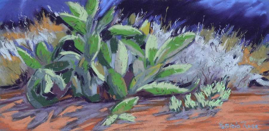 Cactus Pastel by Patricia Rose Ford