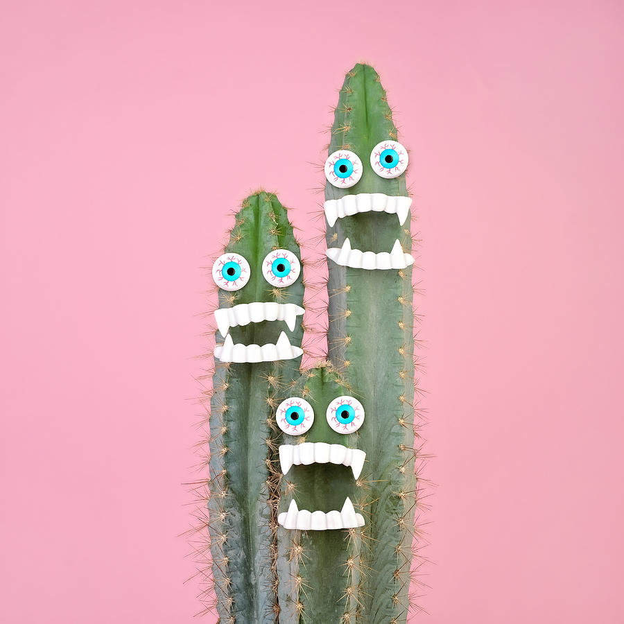 Cactus Plant With Teeth And Eyes Photograph by Juj Winn