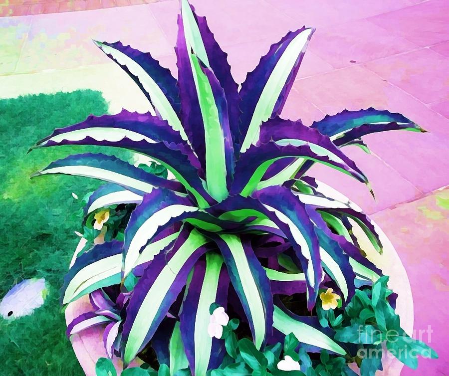 Cactus Purple Artistic Photograph by Saundra Myles