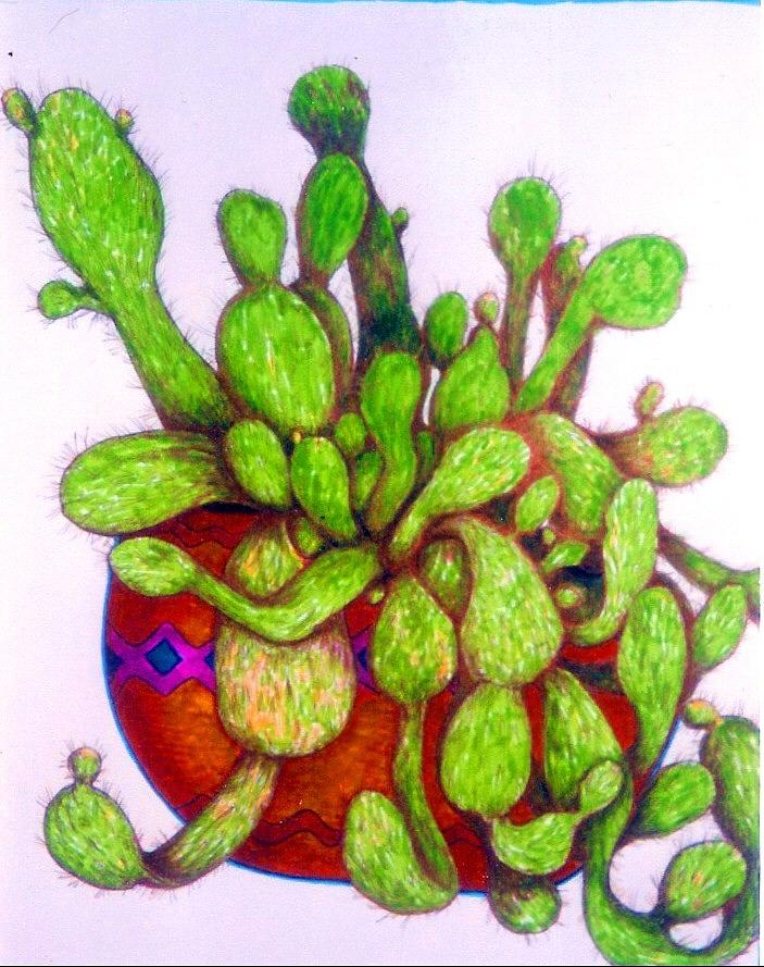Cactus Drawing by Rae Chichilnitsky