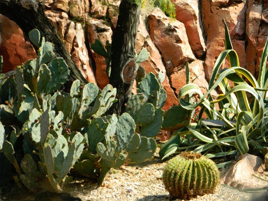 Desert Digital Art - Cactus by Shere Crossman