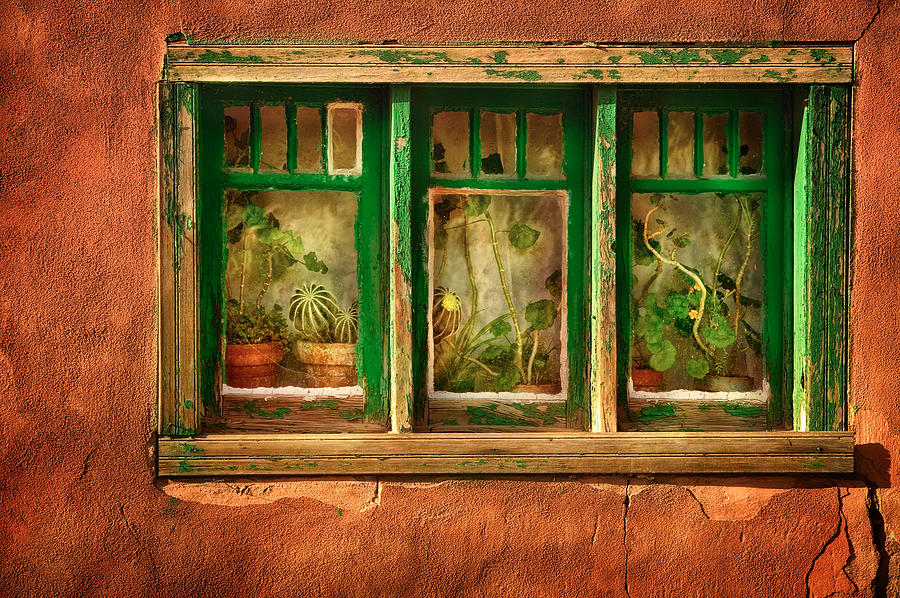 Santa Fe Photograph - Cactus Window by Keith Berr 