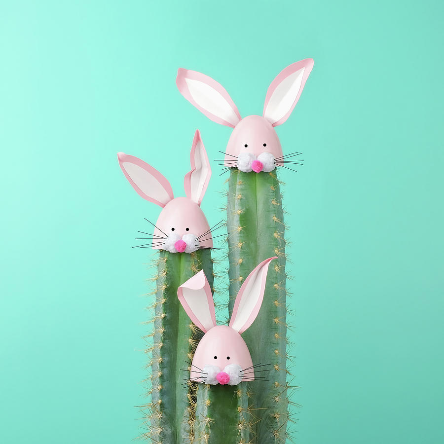 Cactus With Easter Rabbit Decorations Photograph by Juj Winn