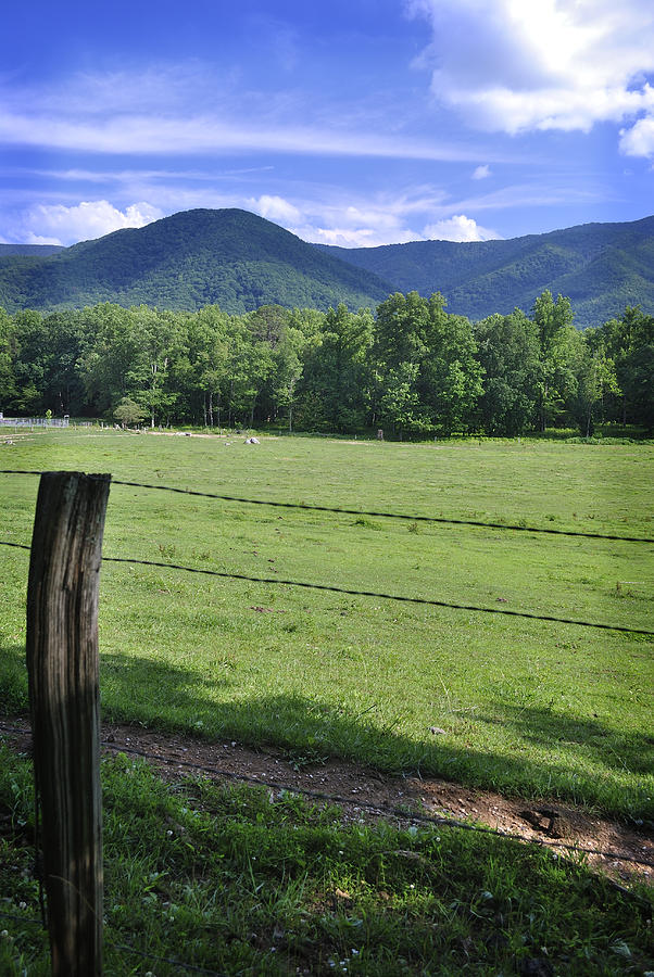 Cades Cove 1 Photograph by George Taylor