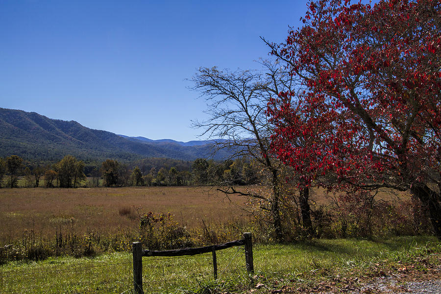 Cades Cove Fall Colors Photograph by Kathy Clark