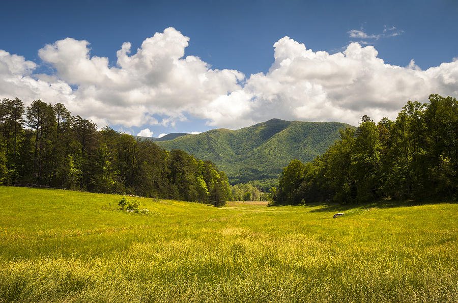 Mountain Photograph - Cades Cove Great Smoky Mountains National Park - Gold and Blue by Dave Allen