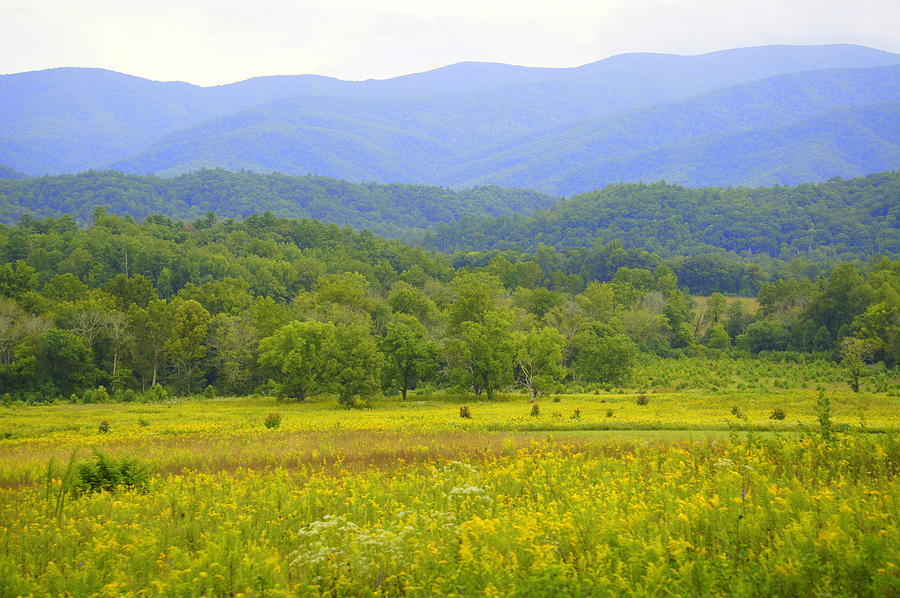 Nature Photograph - Cades Cove by Laurie Perry