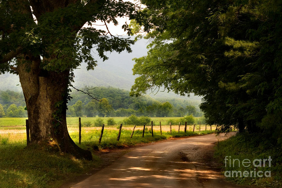 Cades Cove Loop Photograph by T Lowry Wilson
