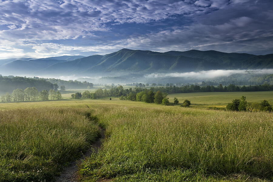 Mountain Photograph - Cades Cove Meadow by Andrew Soundarajan